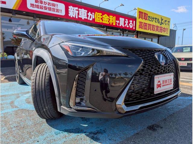 ＵＸ ＵＸ２５０ｈ　Ｆスポーツ　禁煙車／サンルーフ／３眼ＬＥＤヘッドライト／社外１９インチアルミホイール／パワーバックドア／バックカメラ／シートヒーター／ステアリングヒーター／ＣＤ・ＤＶＤデッキ／アクティブサウンドコントロール／（8枚目）