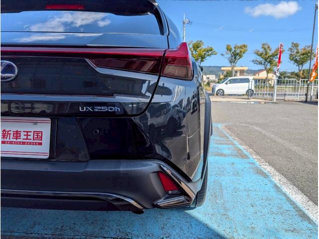 ＵＸ ＵＸ２５０ｈ　Ｆスポーツ　禁煙車／サンルーフ／３眼ＬＥＤヘッドライト／社外１９インチアルミホイール／パワーバックドア／バックカメラ／シートヒーター／ステアリングヒーター／ＣＤ・ＤＶＤデッキ／アクティブサウンドコントロール／（19枚目）