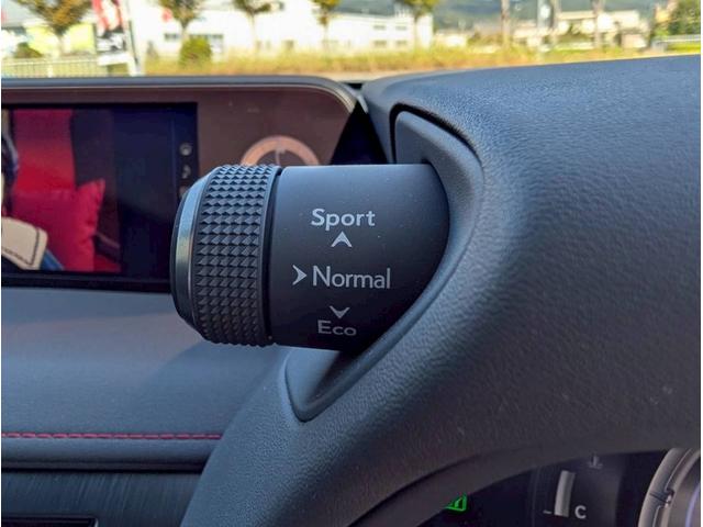 ＵＸ ＵＸ２５０ｈ　Ｆスポーツ　禁煙車／サンルーフ／３眼ＬＥＤヘッドライト／社外１９インチアルミホイール／パワーバックドア／バックカメラ／シートヒーター／ステアリングヒーター／ＣＤ・ＤＶＤデッキ／アクティブサウンドコントロール／（25枚目）