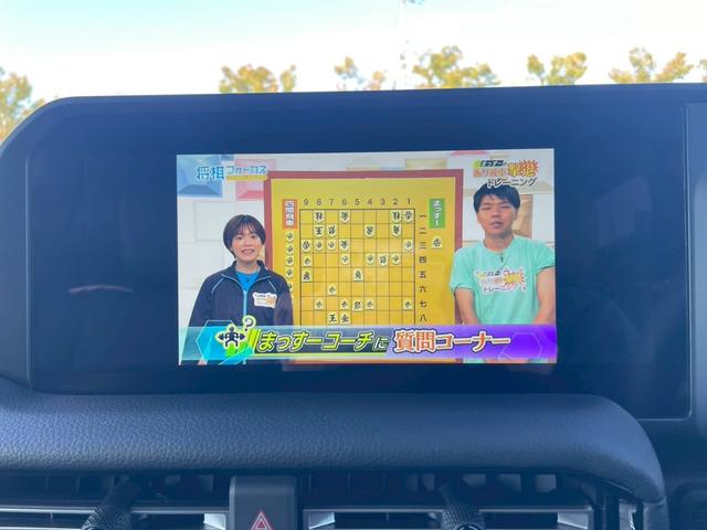 ランドクルーザー250 VX ワンオーナー/丸目ヘッドライト/ムーンルーフ/ルーフレール/モデリスタプロテクター/パノラミックビューモニター/デジタルインナーミラー/12.3インチディスプレイオーディオ/トヨタセーフティーセンス(28枚目)