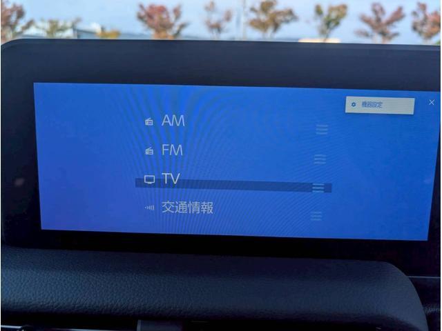 ランドクルーザー250 VX 12.3インチディスプレイオーディオ/パノラミックビューモニター/デジタルインナーミラー/ブラインドスポットモニター/トヨタチームメイト/ヒッチメンバー/ムーンルーフ/純正18インチアルミホイール(33枚目)