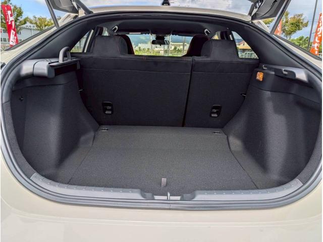 シビック タイプR 登録済未使用車/バックカメラ/ホンダセンシング/ホンダコネクトディスプレイ/デジタルグラフィックメーター/ETC2.0車載器/フルセグTV/LEDヘッドライト/クルーズコントロール(49枚目)