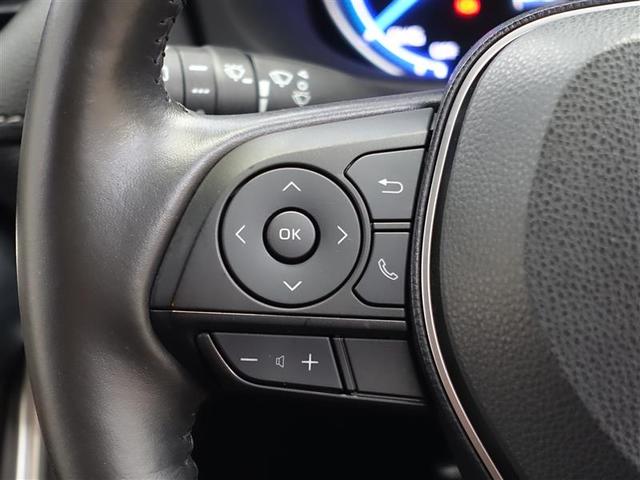 ＲＡＶ４ ハイブリッドＧ　サンルーフ　４ＷＤ　フルセグ　メモリーナビ　ＤＶＤ再生　ミュージックプレイヤー接続可　バックカメラ　衝突被害軽減システム　ＥＴＣ　ドラレコ　ＬＥＤヘッドランプ（16枚目）