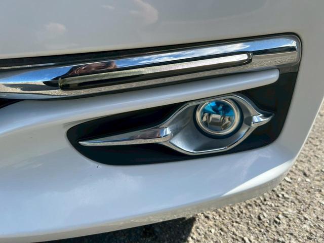 ���e�[�������v�i����ȑ��j��