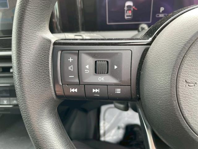 ���X�e�A�����O�����R����