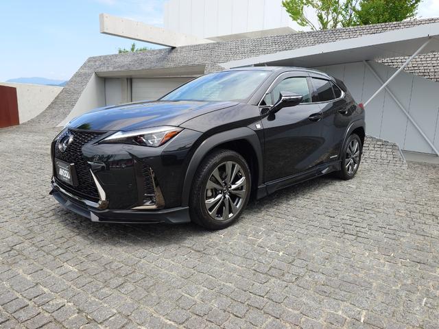 ＵＸ ＵＸ２５０ｈ　Ｆスポーツ　ＴＲＤエアロ＆マフラー・純正ナビマルチ・本革パワーシート・三眼ＬＥＤライト・オートハイビーム・パワーバックドア・レーダークルーズ・レクサスセーフティ・クリアランスソナー・ハンドルヒーター（3枚目）