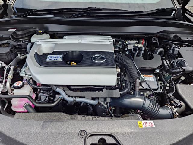 ＵＸ ＵＸ２５０ｈ　Ｆスポーツ　ＴＲＤエアロ＆マフラー・純正ナビマルチ・本革パワーシート・三眼ＬＥＤライト・オートハイビーム・パワーバックドア・レーダークルーズ・レクサスセーフティ・クリアランスソナー・ハンドルヒーター（25枚目）