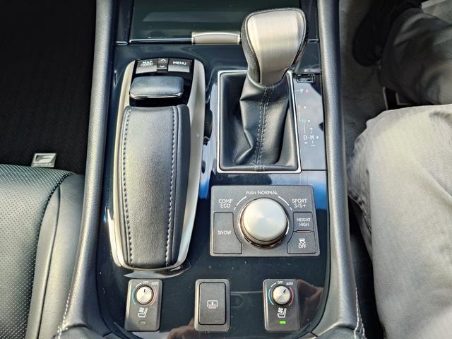 LS LS460 Fスポーツ(19枚目)