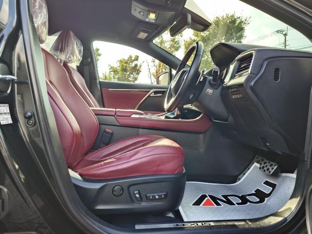 RX RX450h Fスポーツ(11枚目)