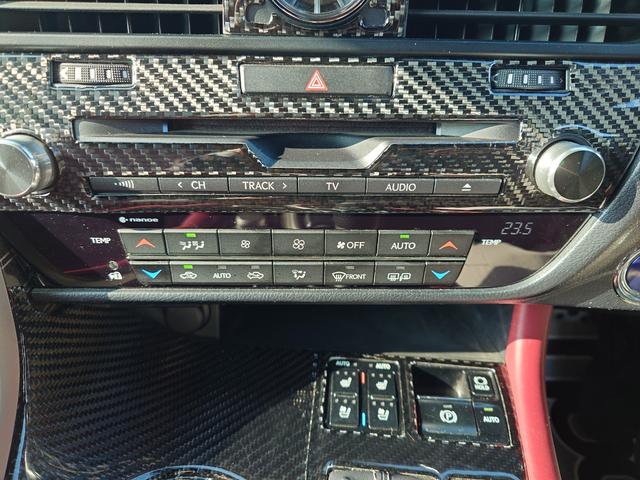 RX RX450h Fスポーツ(19枚目)