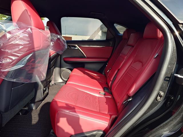 RX RX450h Fスポーツ(24枚目)