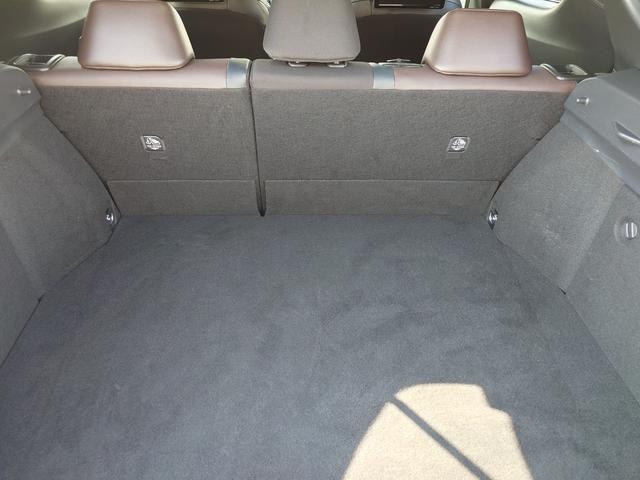 Ｃ－ＨＲ Ｇ　ＬＥＤエディション（24枚目）