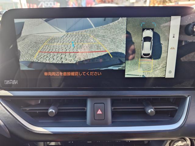 ＵＸ ＵＸ２５０ｈ　Ｆスポーツ（17枚目）