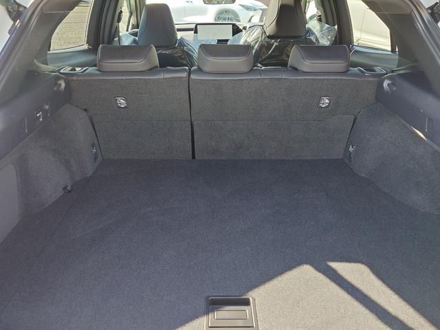 ＵＸ ＵＸ２５０ｈ　Ｆスポーツ（26枚目）