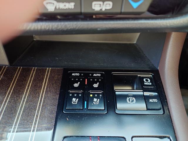 RX RX450h バージョンL(20枚目)