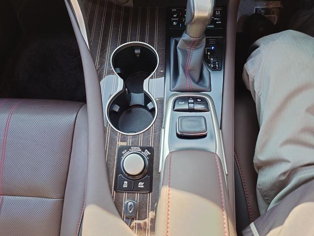 RX RX450h バージョンL(21枚目)