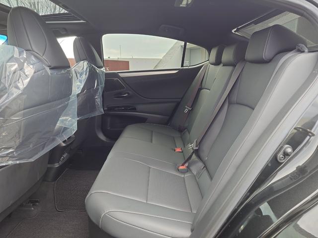 ＥＳ ＥＳ３００ｈ　Ｆスポーツ（25枚目）