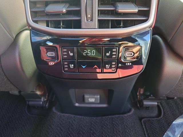 ＲＸ ＲＸ５００ｈ　Ｆスポーツパフォーマンス（25枚目）