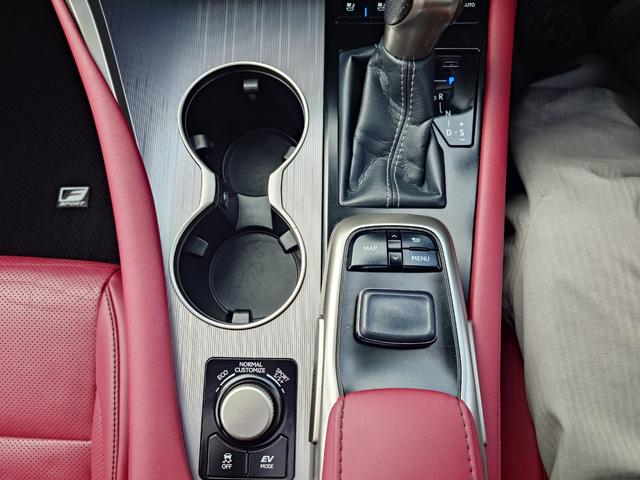 ＲＸ ＲＸ４５０ｈ　Ｆスポーツ（18枚目）