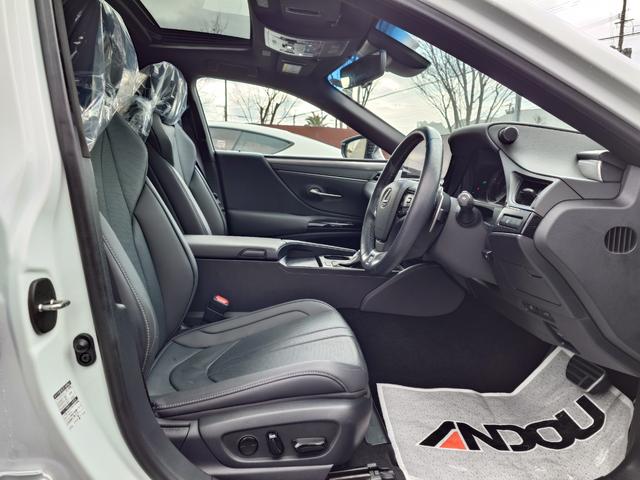 ＥＳ ＥＳ３００ｈ　Ｆスポーツ（11枚目）