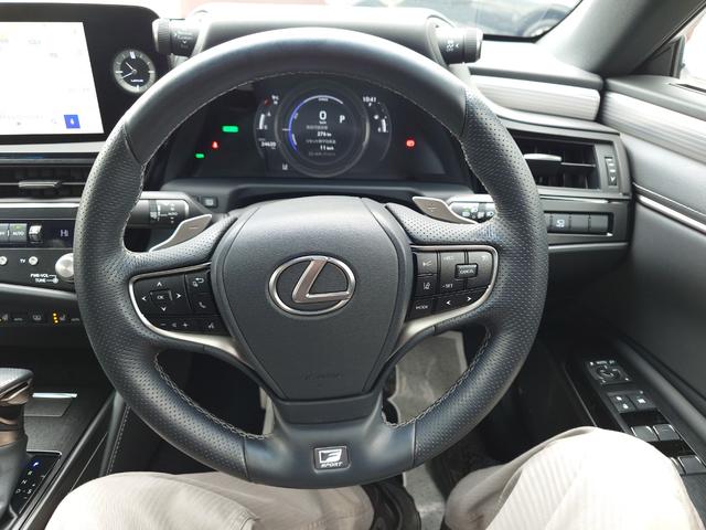 ＥＳ ＥＳ３００ｈ　Ｆスポーツ（14枚目）