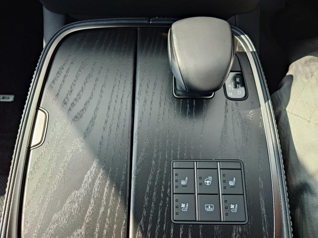 ＬＳ ＬＳ５００ｈ　Ｉパッケージ（20枚目）