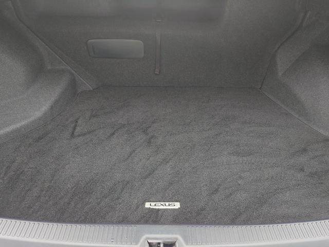 HS HS250h バージョンC(22枚目)