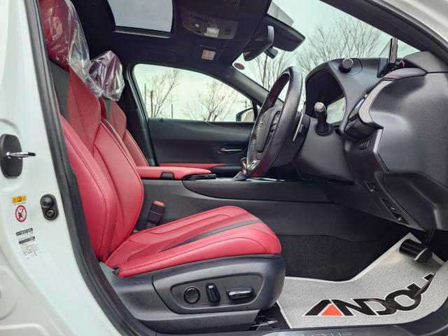 UX UX250h Fスポーツ(10枚目)