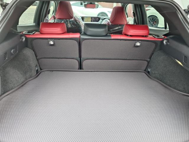 UX UX250h Fスポーツ(22枚目)