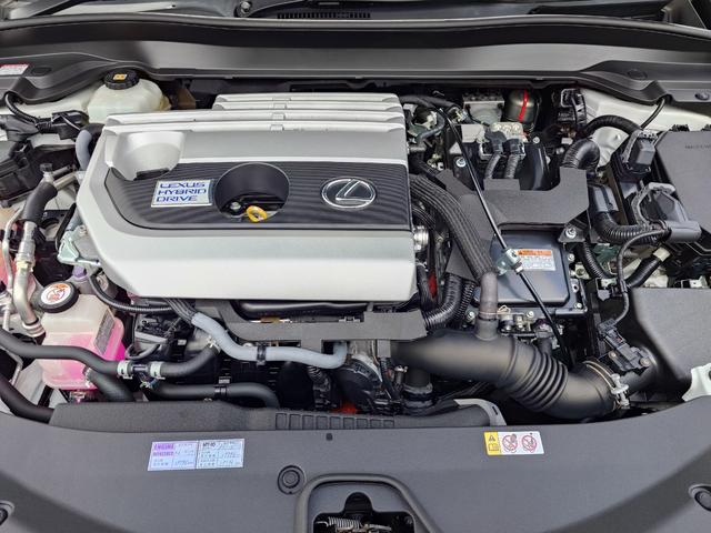 UX UX250h Fスポーツ(23枚目)