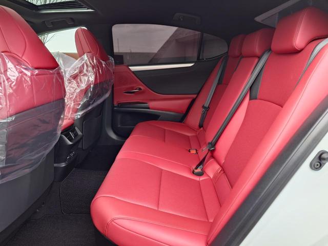 ＥＳ ＥＳ３００ｈ　Ｆスポーツ（25枚目）