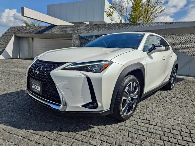 ＵＸ２５０ｈ　バージョンＬ（画像2）