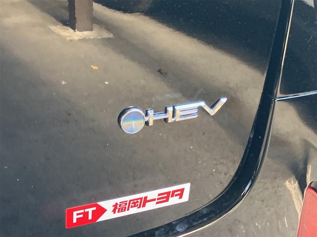 アルファードハイブリッド X 全周囲カメラ コネクトナビTV ワンオーナー オーバーヘッドコンソール クリアランスソナー オートクルーズコントロール レーンアシスト 衝突被害軽減システム 両側電動スライドドア(25枚目)