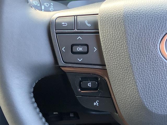 アルファードハイブリッド X 全周囲カメラ コネクトナビTV ワンオーナー オーバーヘッドコンソール クリアランスソナー オートクルーズコントロール レーンアシスト 衝突被害軽減システム 両側電動スライドドア(49枚目)