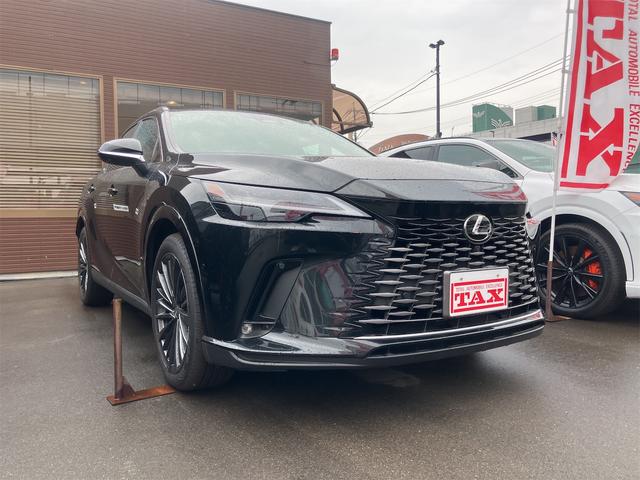ＲＸ ＲＸ３５０ｈ　バージョンＬ　禁煙車・全周囲カメラ・クリアランスソナー・オートクルーズコントロール・レーンアシスト・パワーシート・パークアシスト・衝突被害軽減システム・エアロ・サンルーフ・ナビ・ＴＶ・オートライト（22枚目）