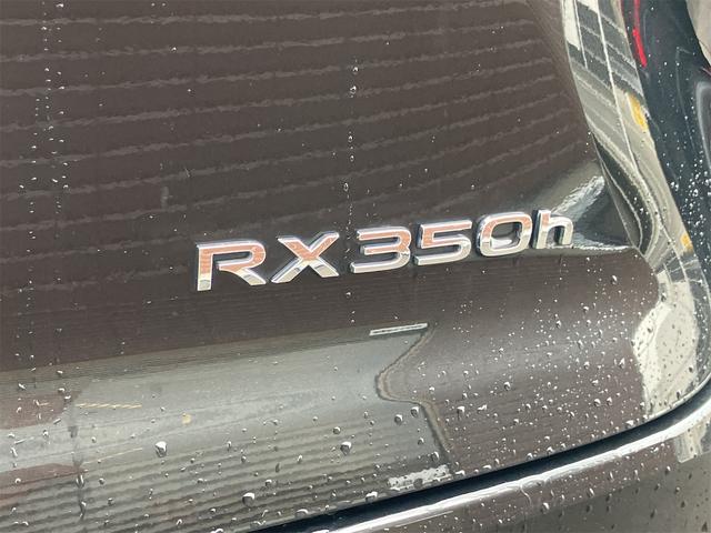 ＲＸ ＲＸ３５０ｈ　バージョンＬ　禁煙車・全周囲カメラ・クリアランスソナー・オートクルーズコントロール・レーンアシスト・パワーシート・パークアシスト・衝突被害軽減システム・エアロ・サンルーフ・ナビ・ＴＶ・オートライト（25枚目）
