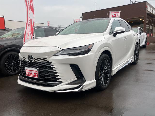 ＲＸ ＲＸ４５０ｈ＋　バージョンＬ　４ＷＤ・全周囲カメラ・クリアランスソナー・オートクルーズコントロール・レーンアシスト・パワーシート・パークアシスト・衝突被害軽減システム・エアロ・サンルーフ・ナビ・ＴＶ・オートマチックハイビーム（13枚目）