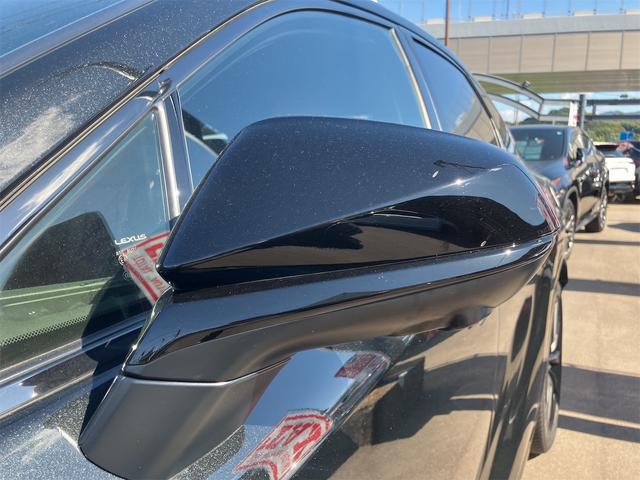 RX RX500h Fスポーツパフォーマンス 本革エアシート・パノラミックビューモニター・前後ドラレコ・パノラマルーフ・4WD・ワンオーナー・ETC・クリアランスソナー・オートクルーズコントロール・パワーシート・衝突被害軽減システム・ナビ・TV(30枚目)