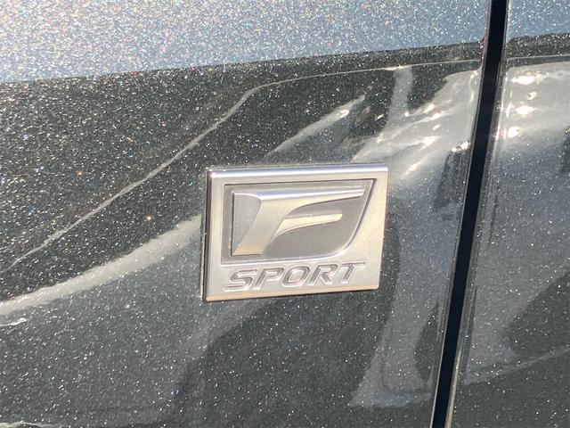 RX RX500h Fスポーツパフォーマンス 本革エアシート・パノラミックビューモニター・前後ドラレコ・パノラマルーフ・4WD・ワンオーナー・ETC・クリアランスソナー・オートクルーズコントロール・パワーシート・衝突被害軽減システム・ナビ・TV(31枚目)