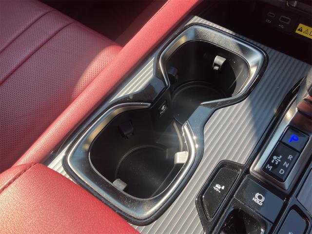 RX RX500h Fスポーツパフォーマンス 本革エアシート・パノラミックビューモニター・前後ドラレコ・パノラマルーフ・4WD・ワンオーナー・ETC・クリアランスソナー・オートクルーズコントロール・パワーシート・衝突被害軽減システム・ナビ・TV(48枚目)