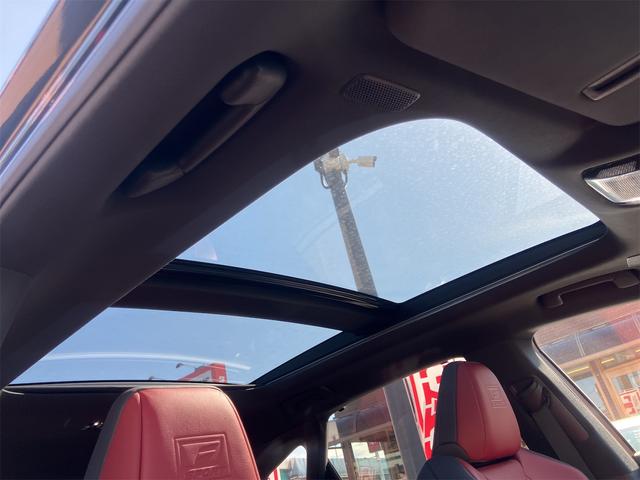 RX RX500h Fスポーツパフォーマンス 本革エアシート・パノラミックビューモニター・前後ドラレコ・パノラマルーフ・4WD・ワンオーナー・ETC・クリアランスソナー・オートクルーズコントロール・パワーシート・衝突被害軽減システム・ナビ・TV(61枚目)