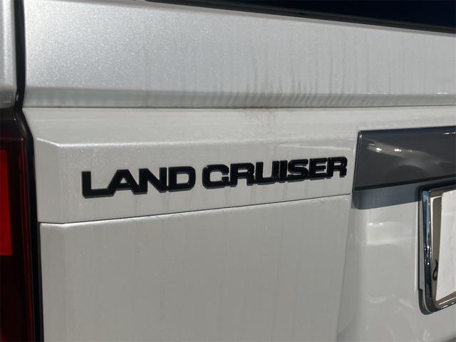 ランドクルーザー250 VX サンルーフ・黒革シート・パノラミックビューモニター・デジタルインナーミラー・4WD・オートクルーズコントロール・レーンアシスト・パワーシート・衝突被害軽減システム・ナビ・TV・オートライト(24枚目)