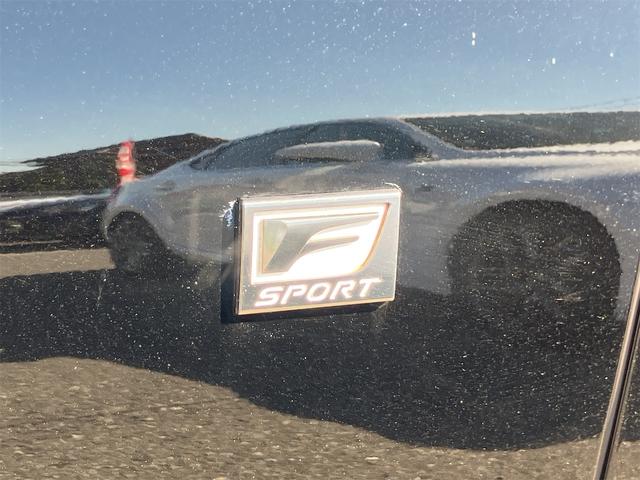 LS LS500 Fスポーツ フルエアロ・TRDホイール・黒革シート・パノラミックビューモニター・サンルーフ・ドラレコ・クリアランスソナー・オートクルーズコントロール・衝突被害軽減システム・ナビ・TV・LEDヘッドランプ(31枚目)