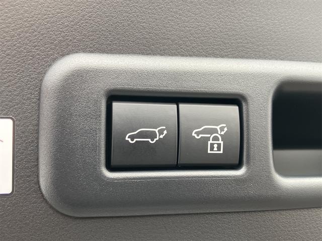 LBX モリゾウ RR 全方位モニター・TVキャンセラー・置くだけ充電・黒革シート・パワーバックドア・マークレビンソン・4WD・ワンオーナー・ドライブレコーダー・オートクルーズコントロール・パワーシート・ナビ・TV(30枚目)