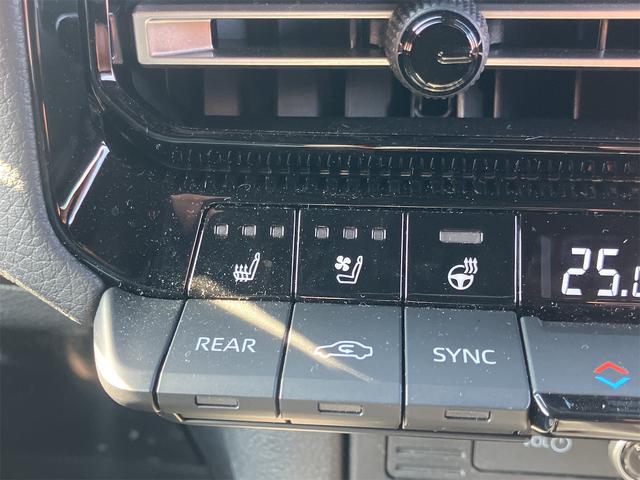 ランドクルーザー２５０ ＶＸ　デジタルインナーミラー・ルーフレール・サンルーフ・ＨＤＭＩ・全方位モニター・４ＷＤ・オートクルーズコントロール・レーンアシスト・衝突被害軽減システム・ＴＶ・オートライト・ＬＥＤヘッドランプ（39枚目）