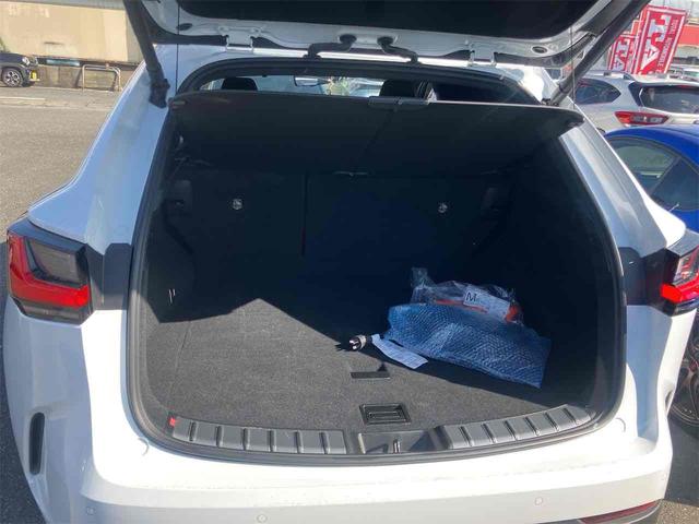 ＮＸ ＮＸ４５０ｈ＋　Ｆスポーツ　４ＷＤ・ドライブレコーダー・全周囲カメラ・クリアランスソナー・オートクルーズコントロール・レーンアシスト・パワーシート・衝突被害軽減システム・エアロ・サンルーフ・ナビ・ＴＶ・オートマチックハイビーム（19枚目）