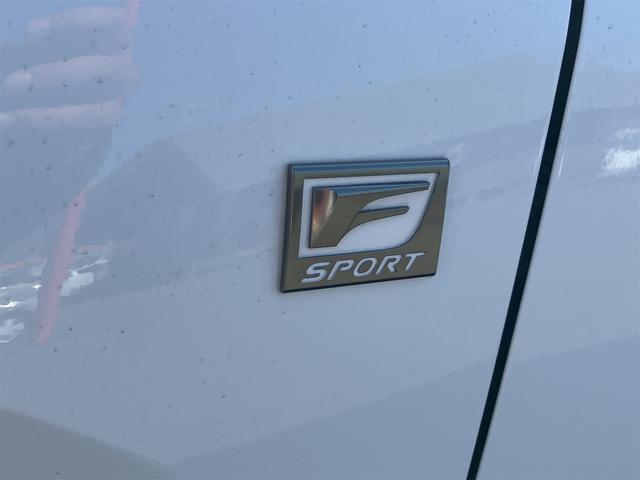 ＮＸ ＮＸ４５０ｈ＋　Ｆスポーツ　４ＷＤ・ドライブレコーダー・全周囲カメラ・クリアランスソナー・オートクルーズコントロール・レーンアシスト・パワーシート・衝突被害軽減システム・エアロ・サンルーフ・ナビ・ＴＶ・オートマチックハイビーム（29枚目）