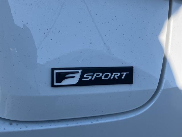 お車の知識がなくても大丈夫です！皆様のご来店をスタッフ一同、心よりお待ちしております。