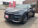 LEXUS LBX