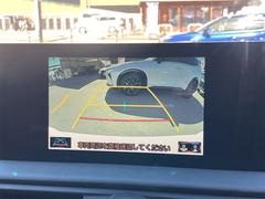 ʥХåӥ塼ƥɳѤ˹碌ɥ饤ɽ⤪ʤޤ֤Ǥ¿ƤǤ 5